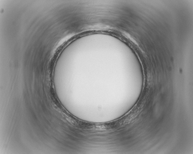 X0000059061315200511041718