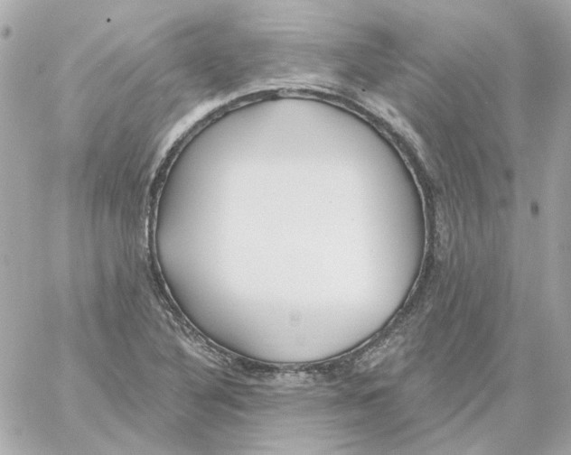 X0000059061316200511041718