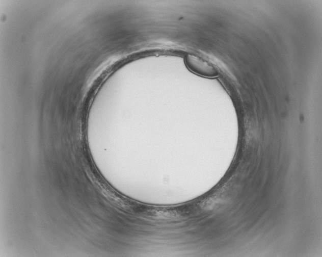 X0000059061318200511041718