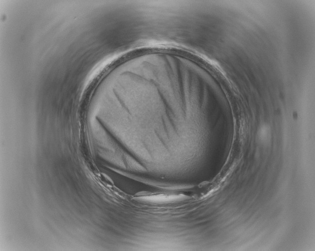 X0000059061319200511041718