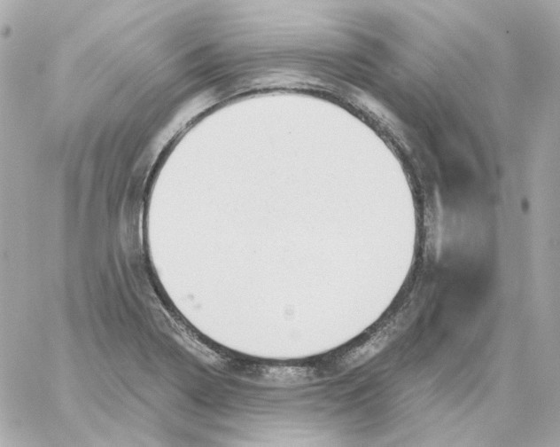 X0000059061322200511041718