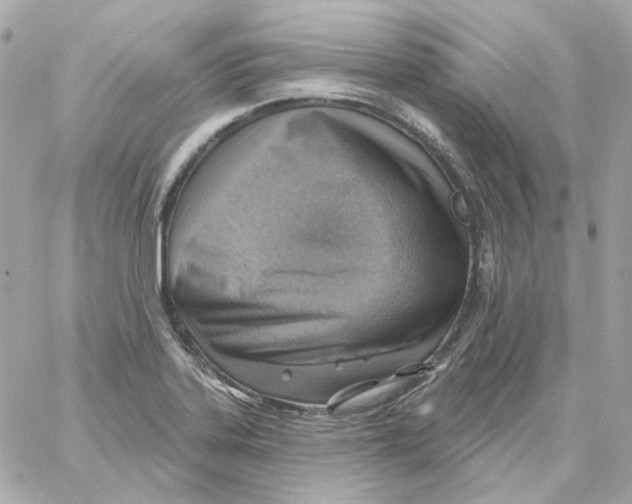 X0000059061323200511041718