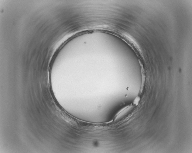 X0000059061324200511041718