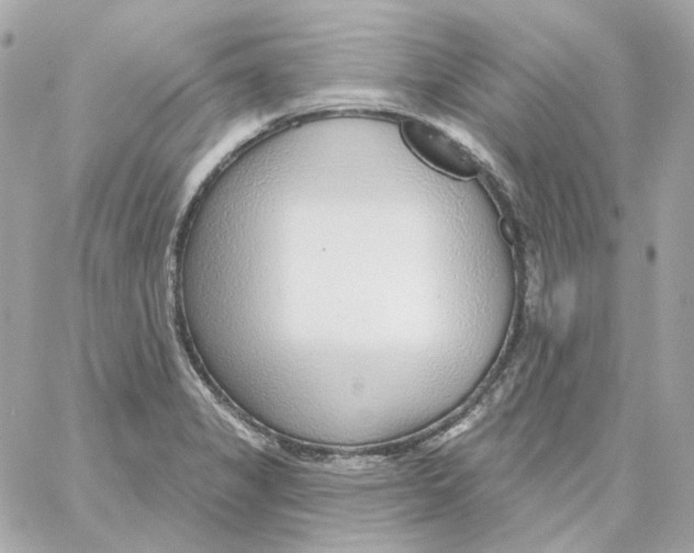 X0000059061325200511041718