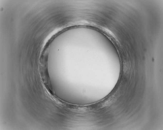 X0000059061326200511041718