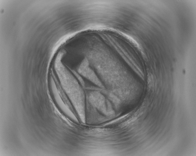 X0000059061327200511041718