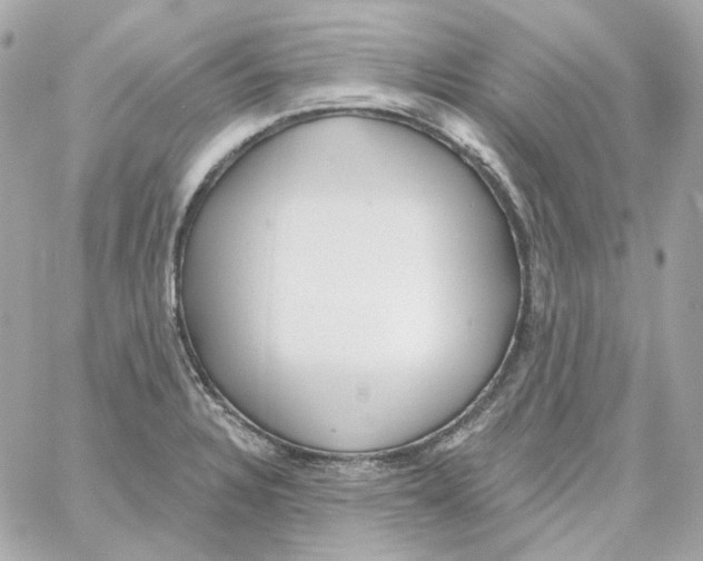 X0000059061328200511041718