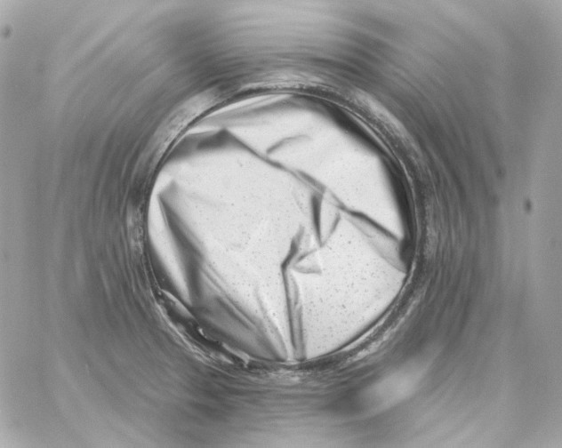 X0000059061329200511041718