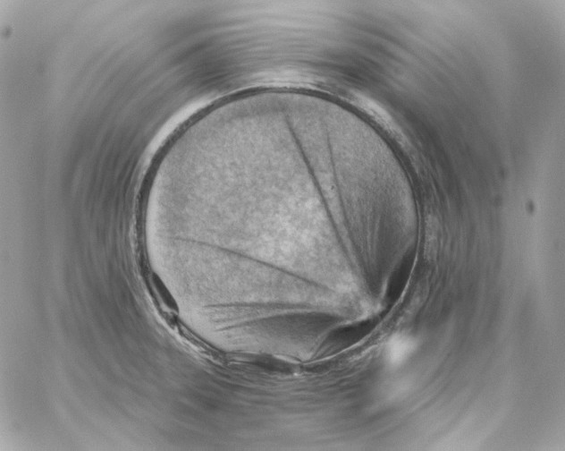 X0000059061331200511041718