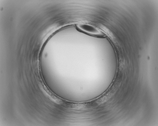 X0000059061332200511041718