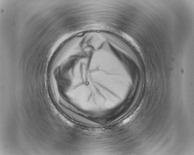 X0000059061334200511041718