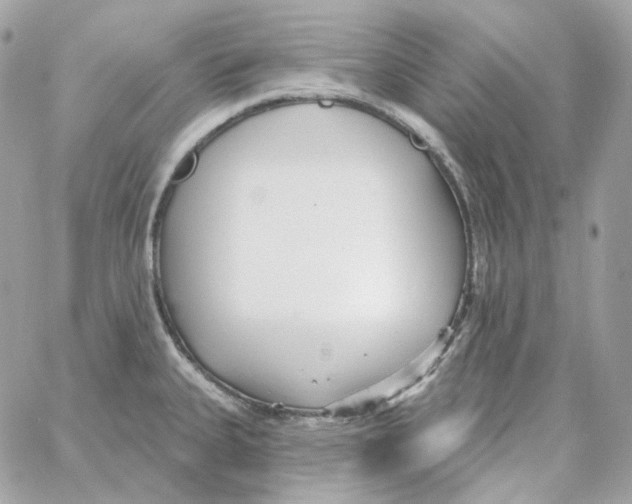 X0000059061335200511041718