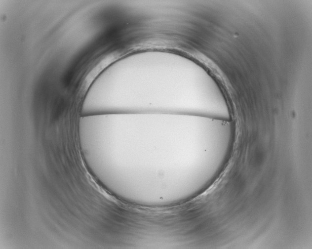 X0000059061337200511041718