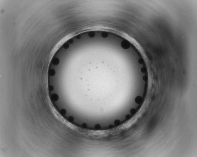 X0000059061338200511041718