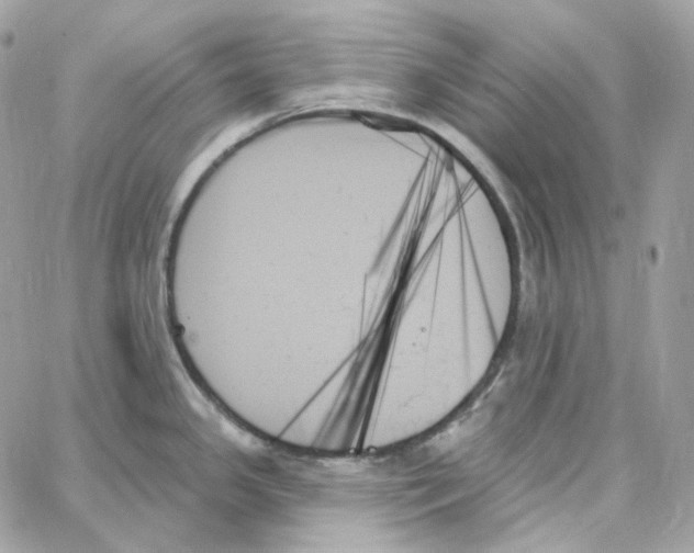 X0000059061341200511041718