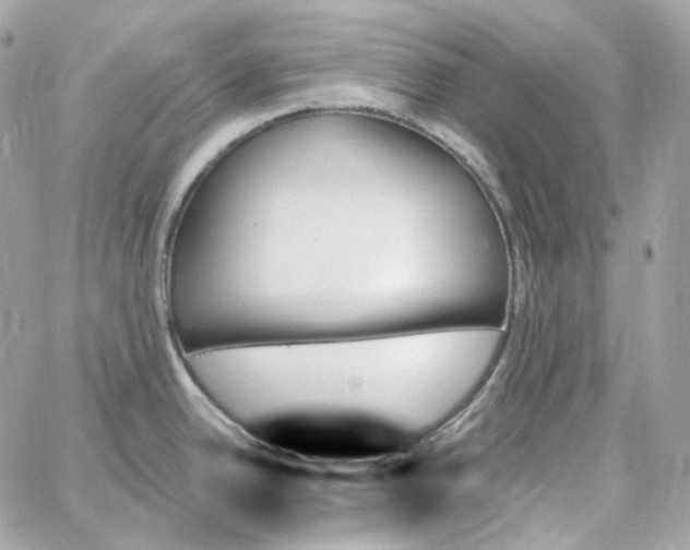 X0000059061342200511041719