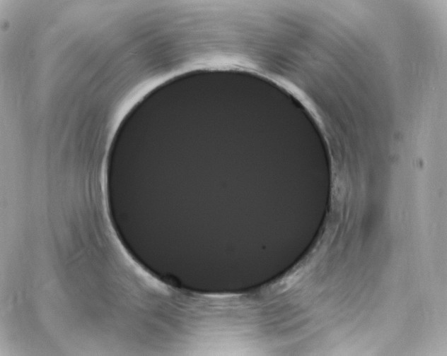 X0000059061343200511041719