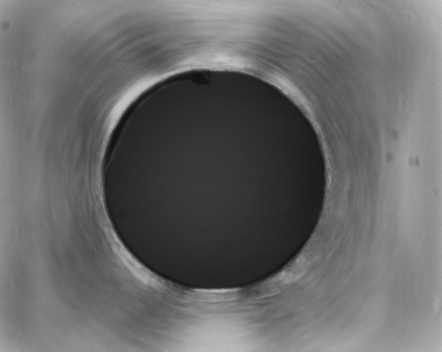 X0000059061344200511041719