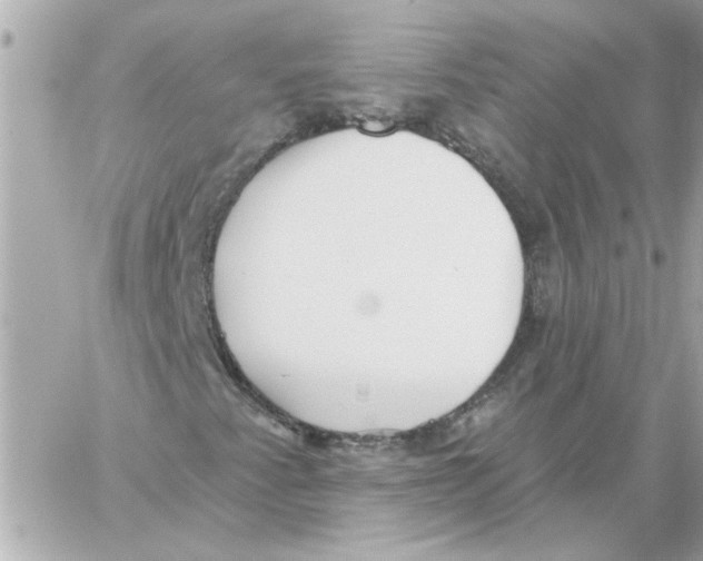 X0000059061345200511041718