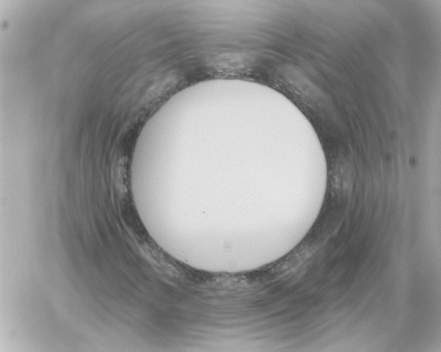 X0000059061346200511041718