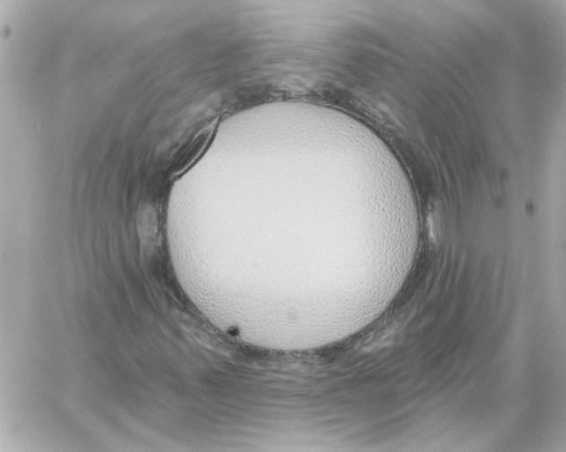 X0000059061347200511041718