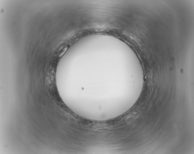 X0000059061349200511041718