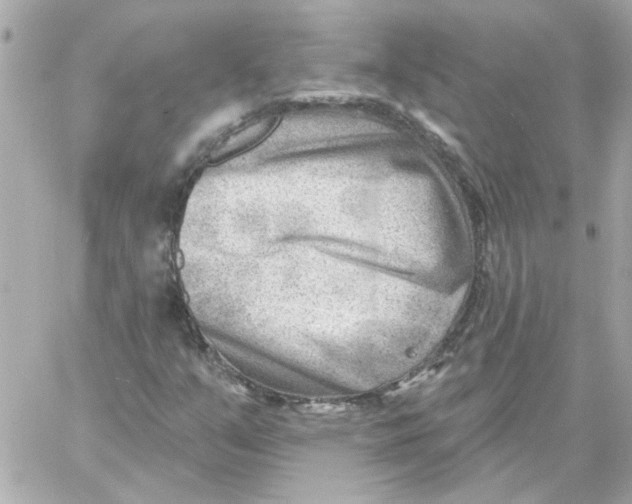 X0000059061351200511041718