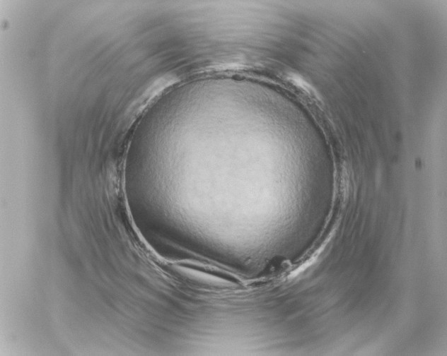 X0000059061353200511041718