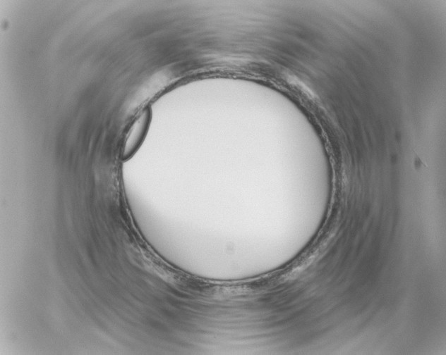 X0000059061354200511041718