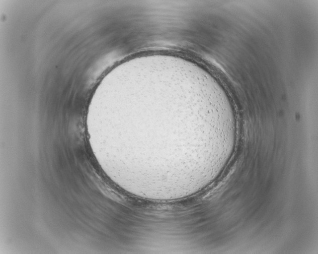 X0000059061355200511041718