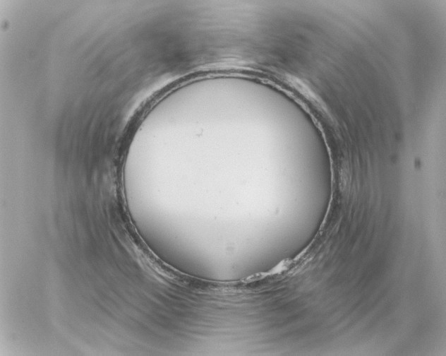 X0000059061356200511041718