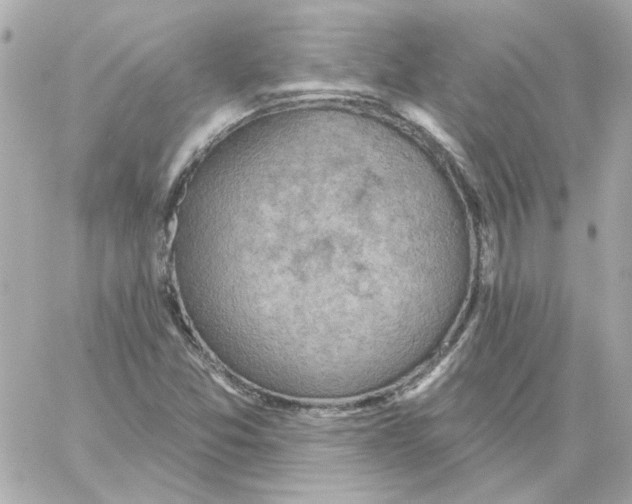 X0000059061357200511041718