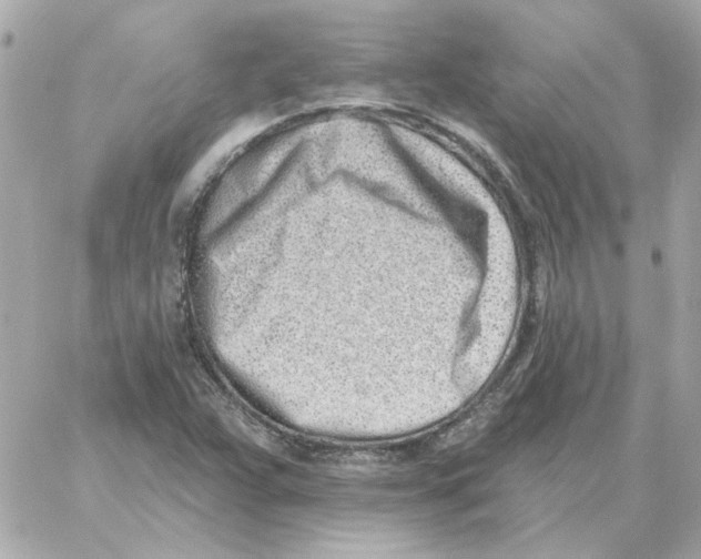 X0000059061359200511041718