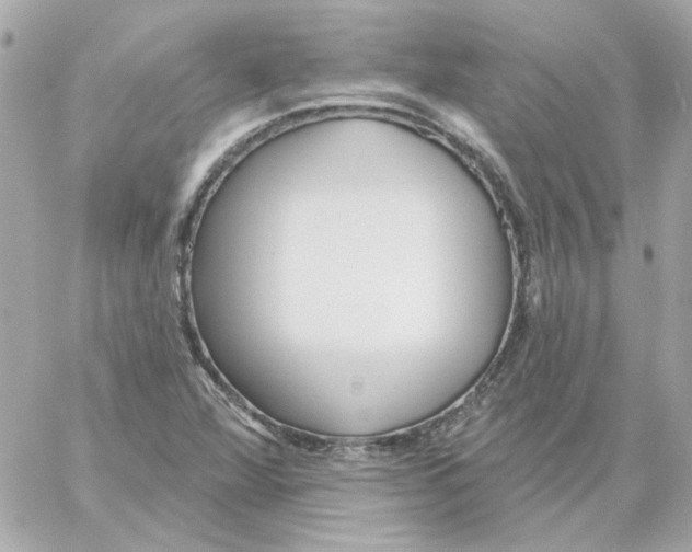 X0000059061360200511041717