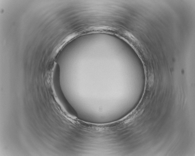 X0000059061361200511041717