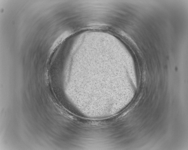 X0000059061362200511041717