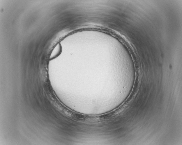 X0000059061363200511041717