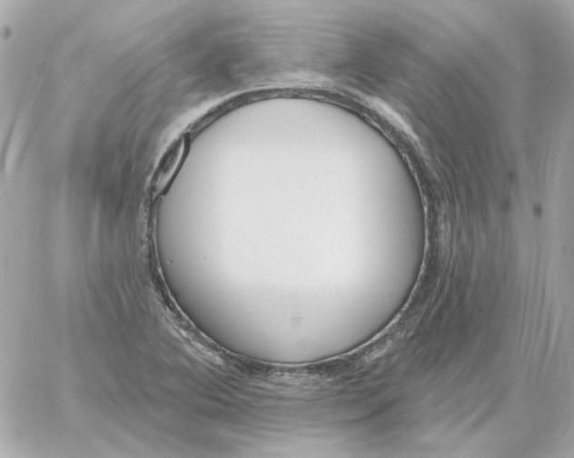 X0000059061364200511041717