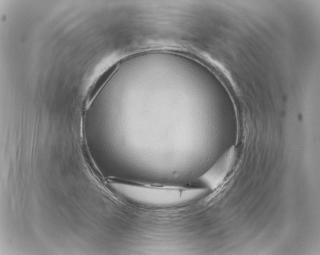 X0000059061365200511041717