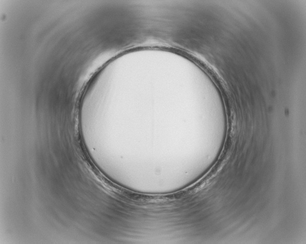 X0000059061367200511041717