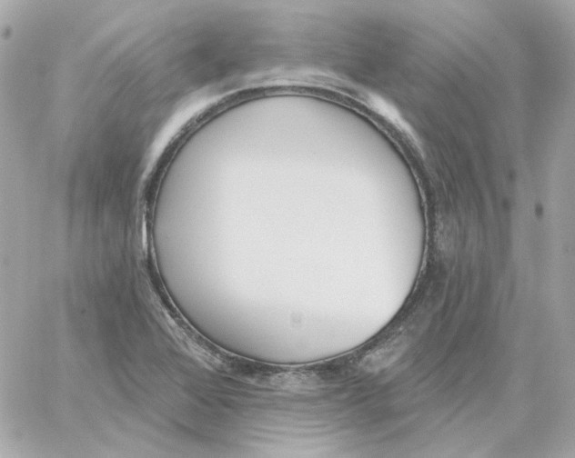 X0000059061368200511041717