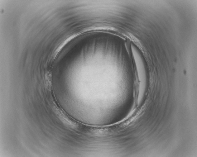 X0000059061369200511041717