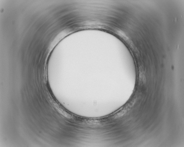 X0000059061370200511041717