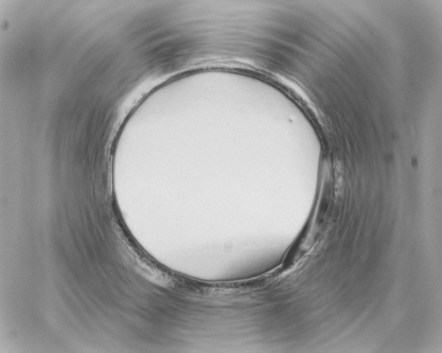 X0000059061371200511041717