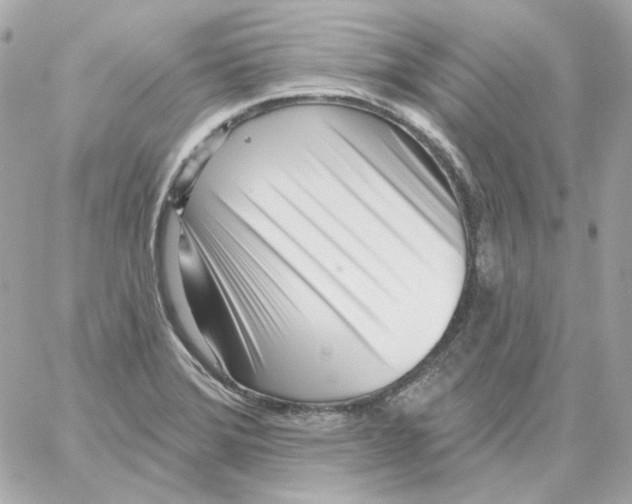 X0000059061372200511041717