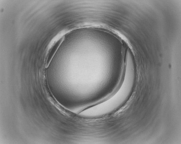 X0000059061373200511041717