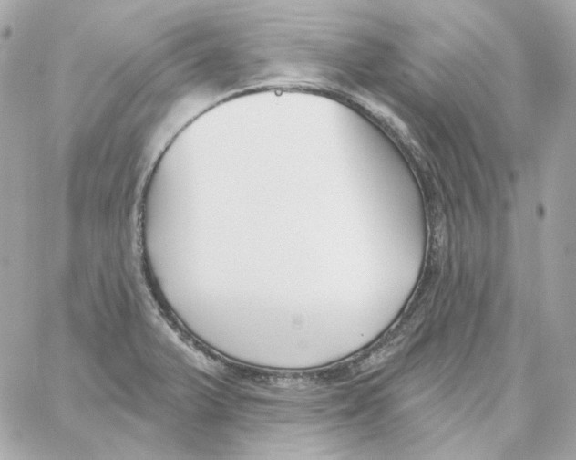 X0000059061375200511041717