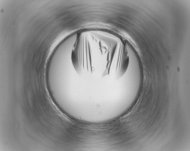 X0000059061376200511041717