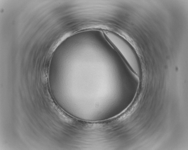 X0000059061377200511041717