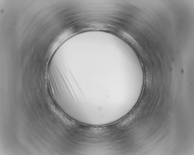 X0000059061378200511041717